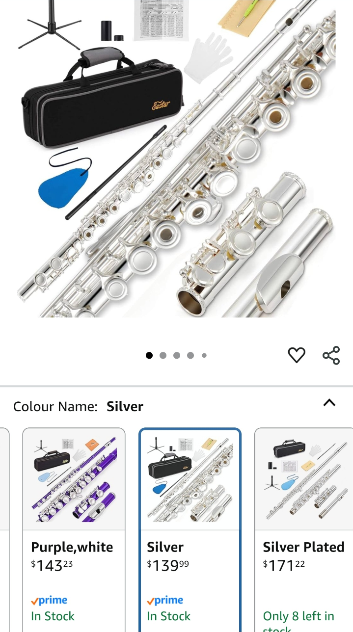 Eastar Silver Flute with Case