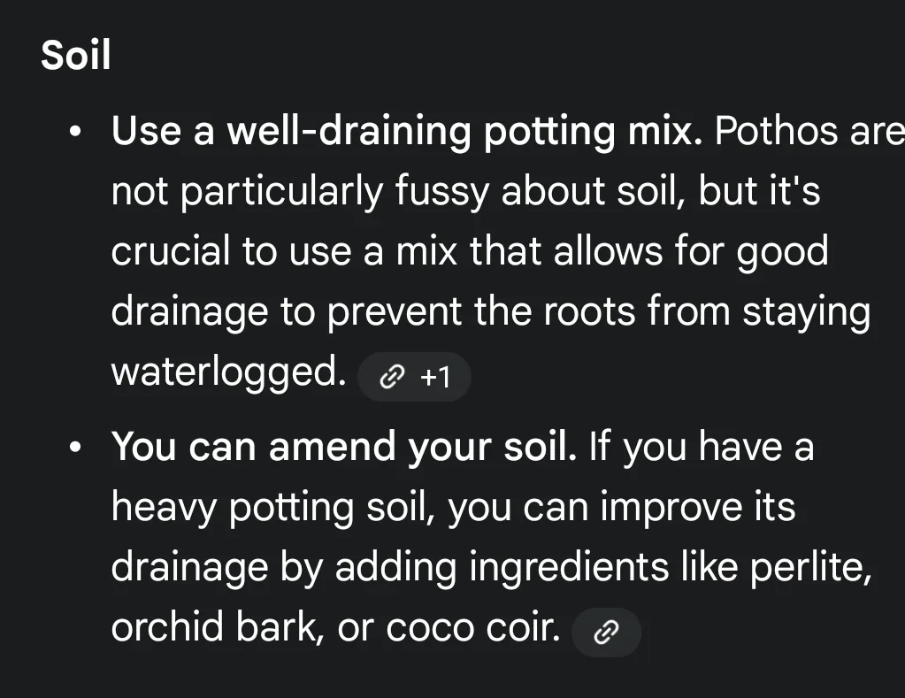 Golden Hawaiian Pothos Plant image indicator(7)