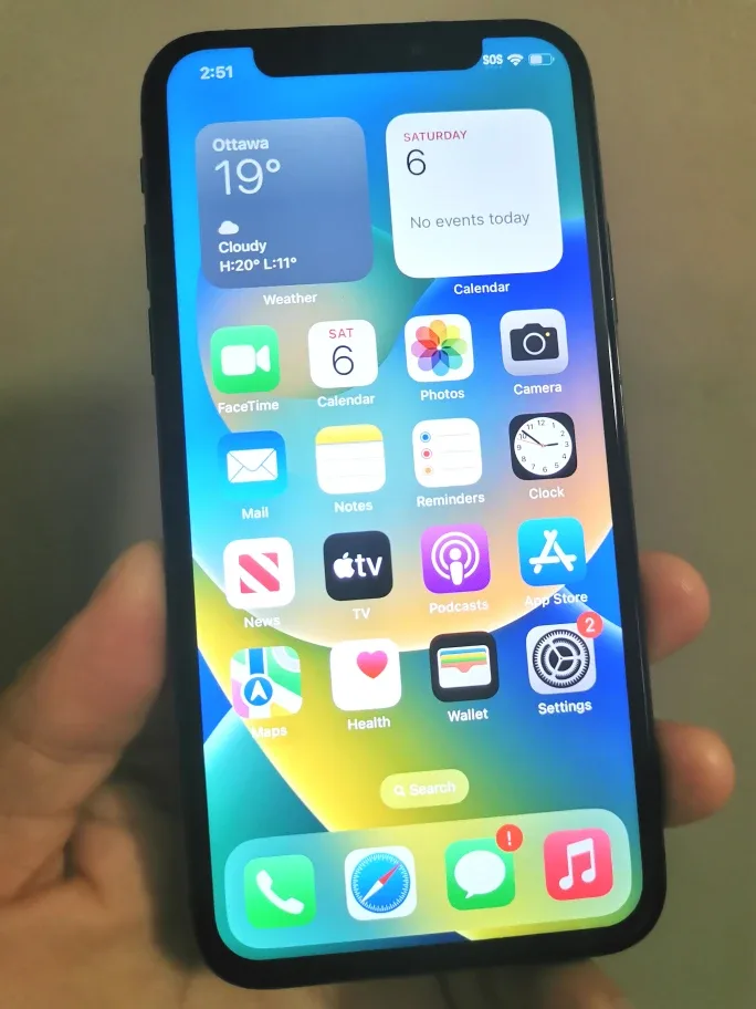 iPhone X 256G Unlocked