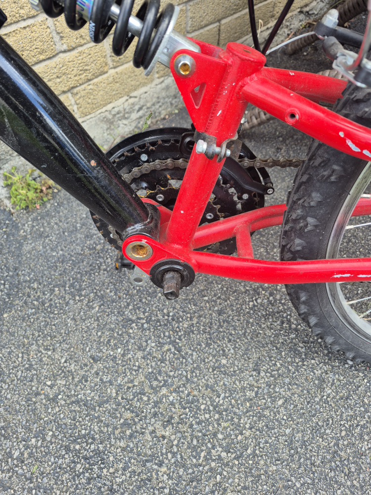 FREE Mountain Bike 🥕 - photo 2