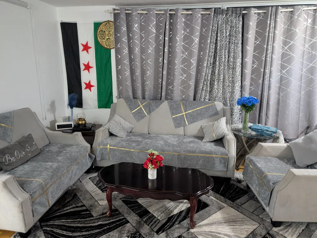 Home Decor Items: Rug, Curtains, and Coffee Table image indicator(6)