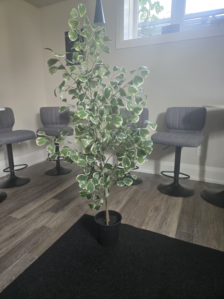Artificial Ficus Tree in Pot