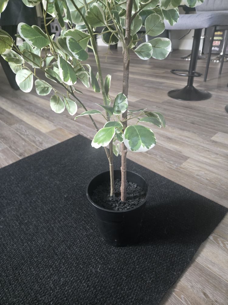 Artificial Ficus Tree in Pot - photo 2