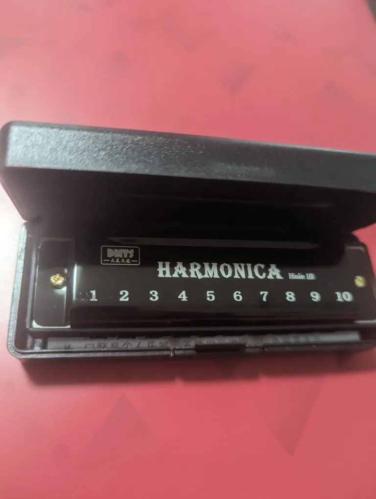 🥕 DMTY Harmonica (black)  10 holes  w/ carrying case thumbnail