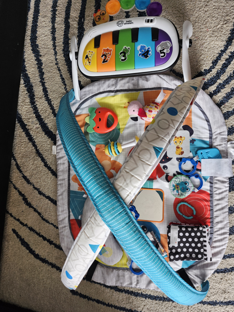 Baby Einstein 4-in-1 gym play mat - photo 2