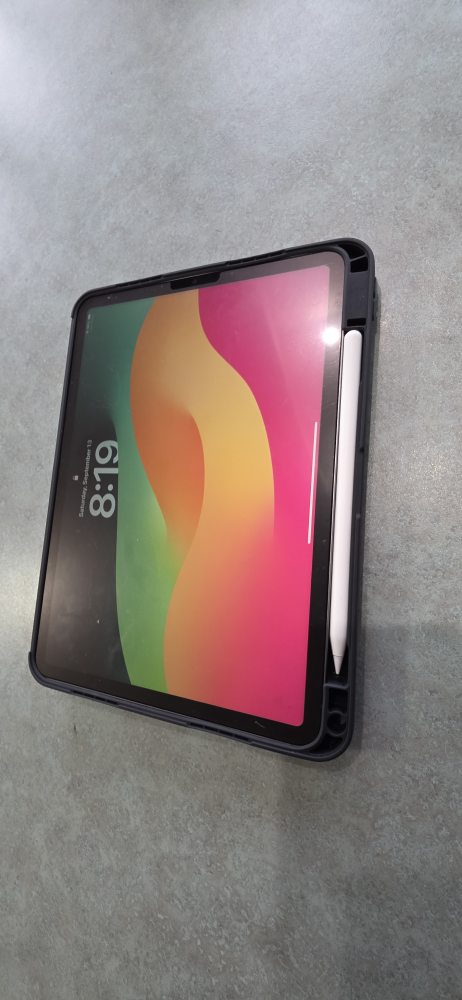 iPad Pro 11” (4th Gen, 2020) – 256GB + Apple Pencil + Pouch - photo 2