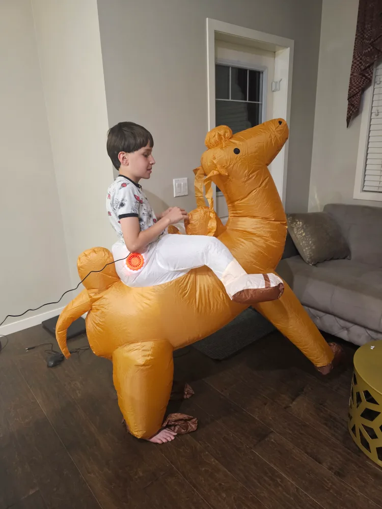 Inflatable Camel Costume (New never used available 3)each $25 image indicator(6)