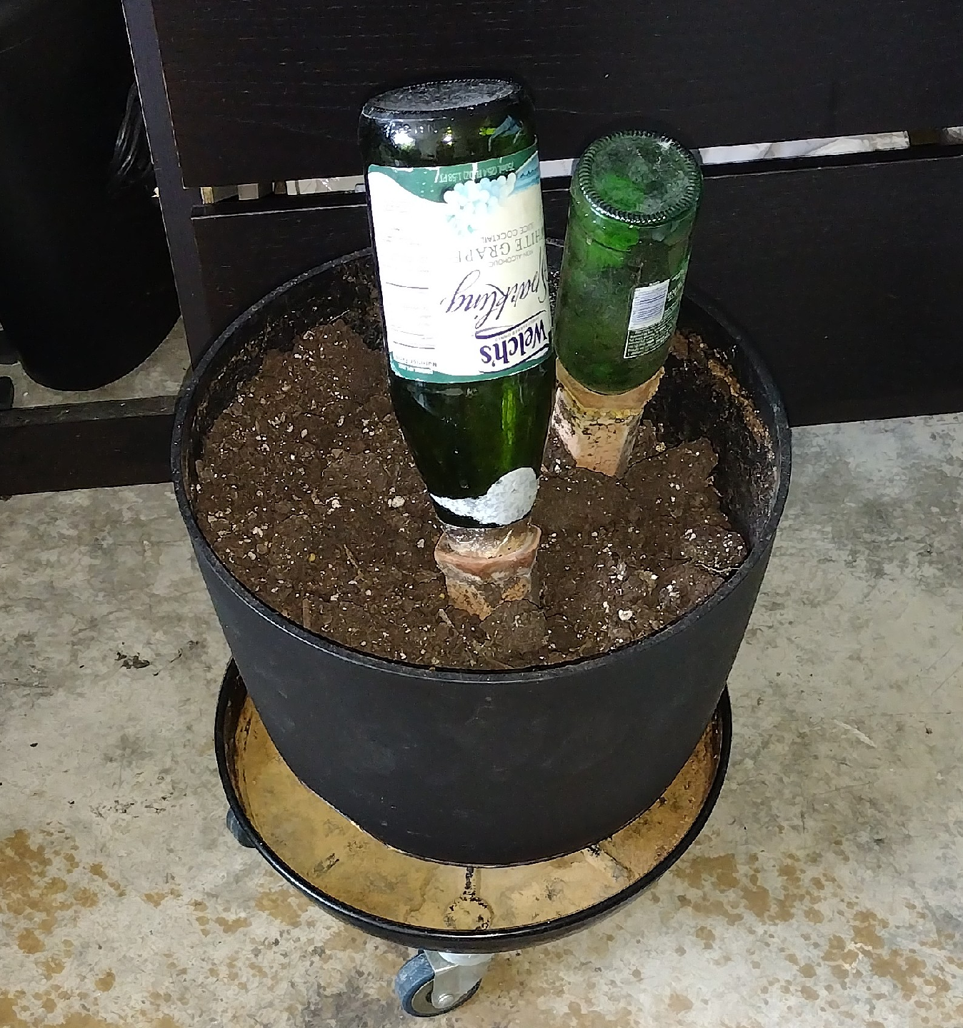 12" Black Planter with 12" Plant Caddy and Terracotta Spikes 🥕