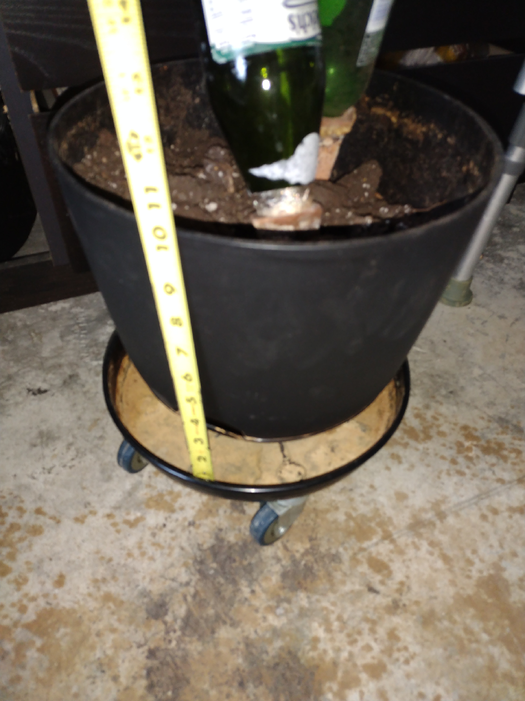 12" Black Planter with 12" Plant Caddy and Terracotta Spikes 🥕 - photo 4