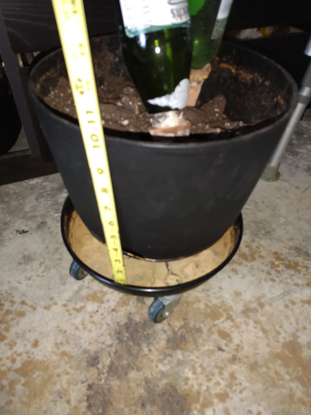 12" Black Planter with 12" Plant Caddy and Terracotta Spikes 🥕 image indicator(4)