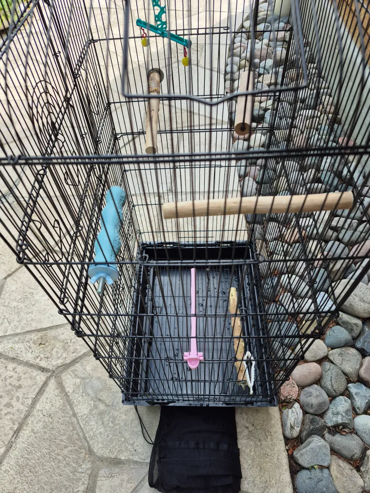 Black Bird Cage with Accessories - like BRAND NEW image indicator(3)