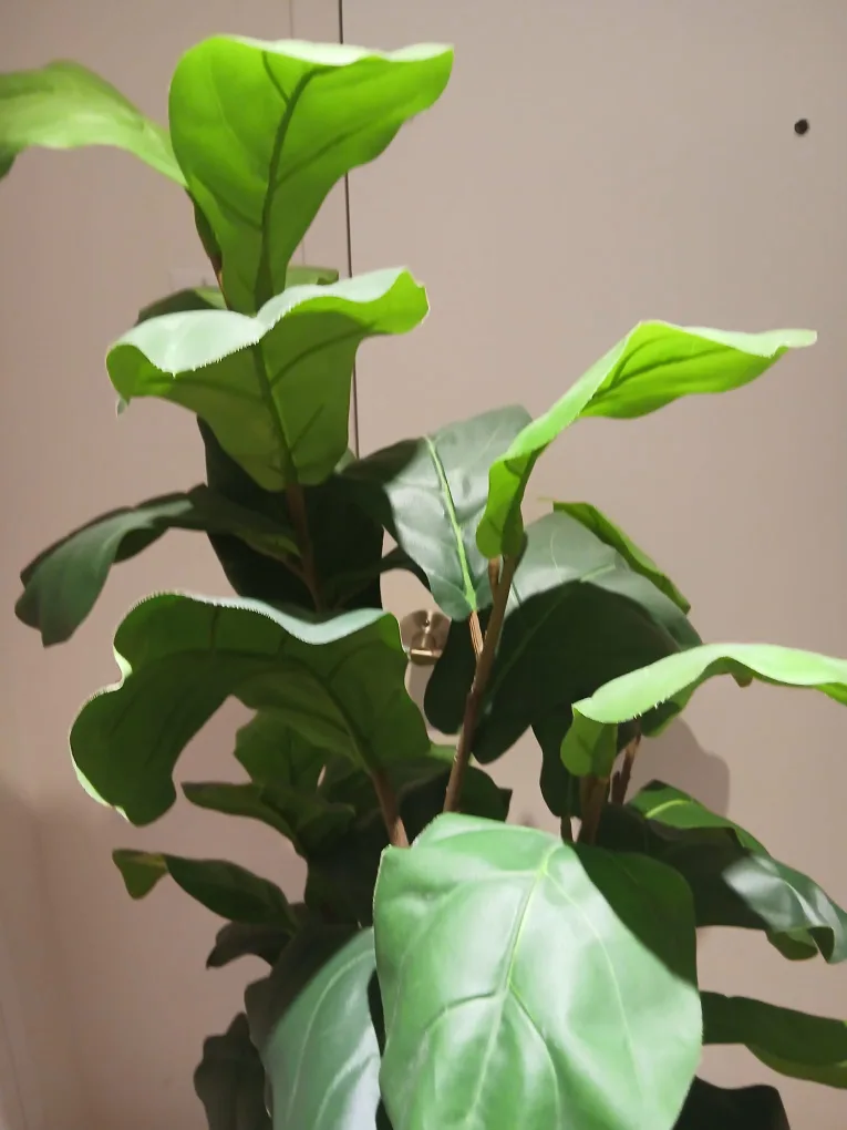 Pottery Barn Artificial Fig Tree image indicator(9)