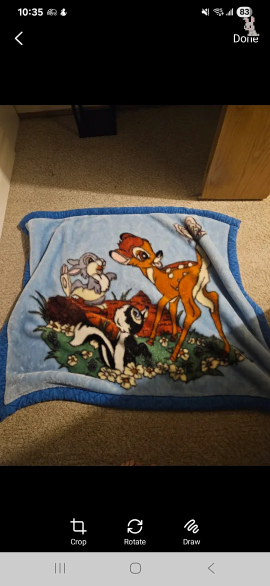 fun blankets image indicator(8)