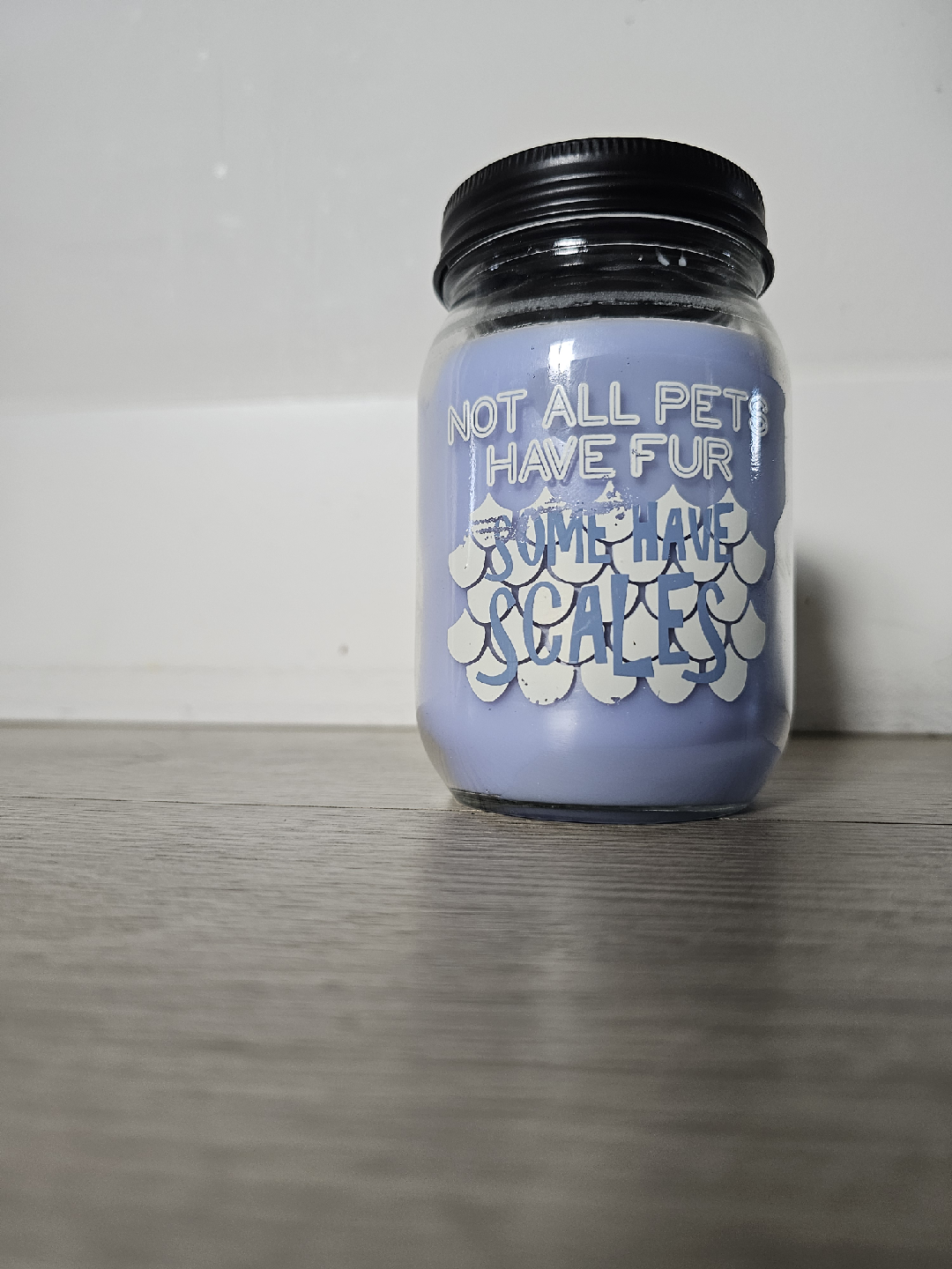 Handmade Candle - Not All Pets Have Fur