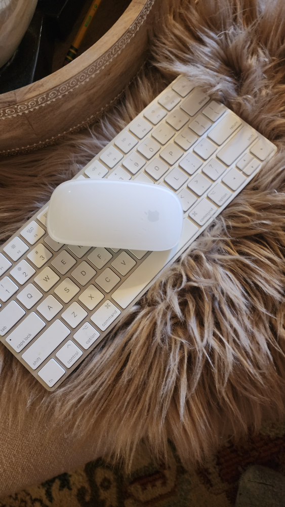 Apple Magic Keyboard and a Magic Mouse. 