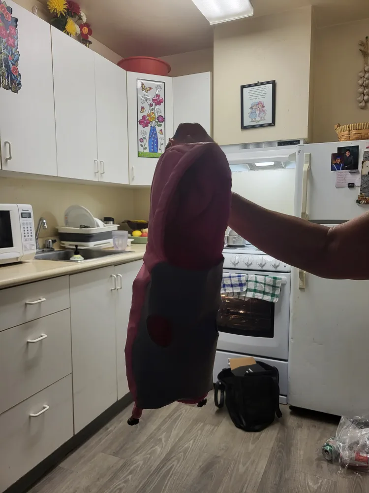 Waterproof  Pink Dog Coat, Size Small image indicator(4)