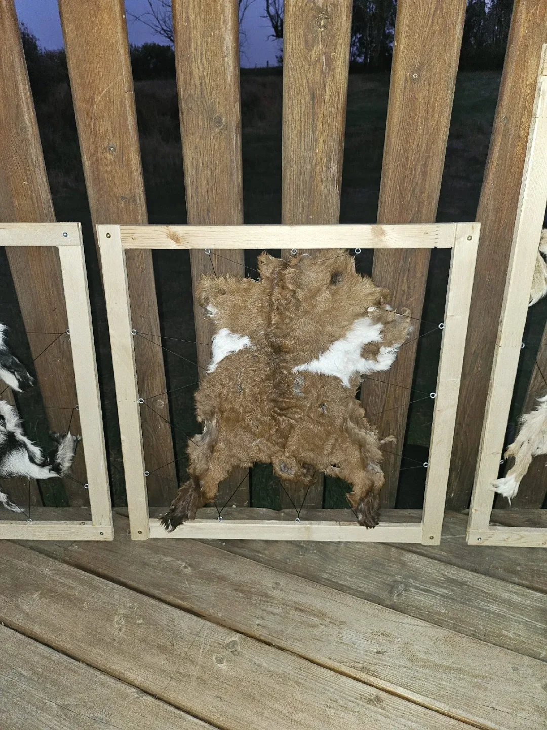 🖼️🐐Framed Goat Skin Decoration Hand-Made image indicator(5)