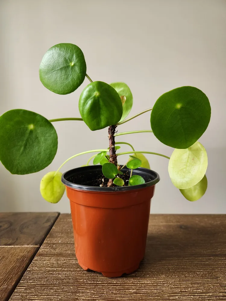 Stunning Waterfall Wall Art image indicator(8)