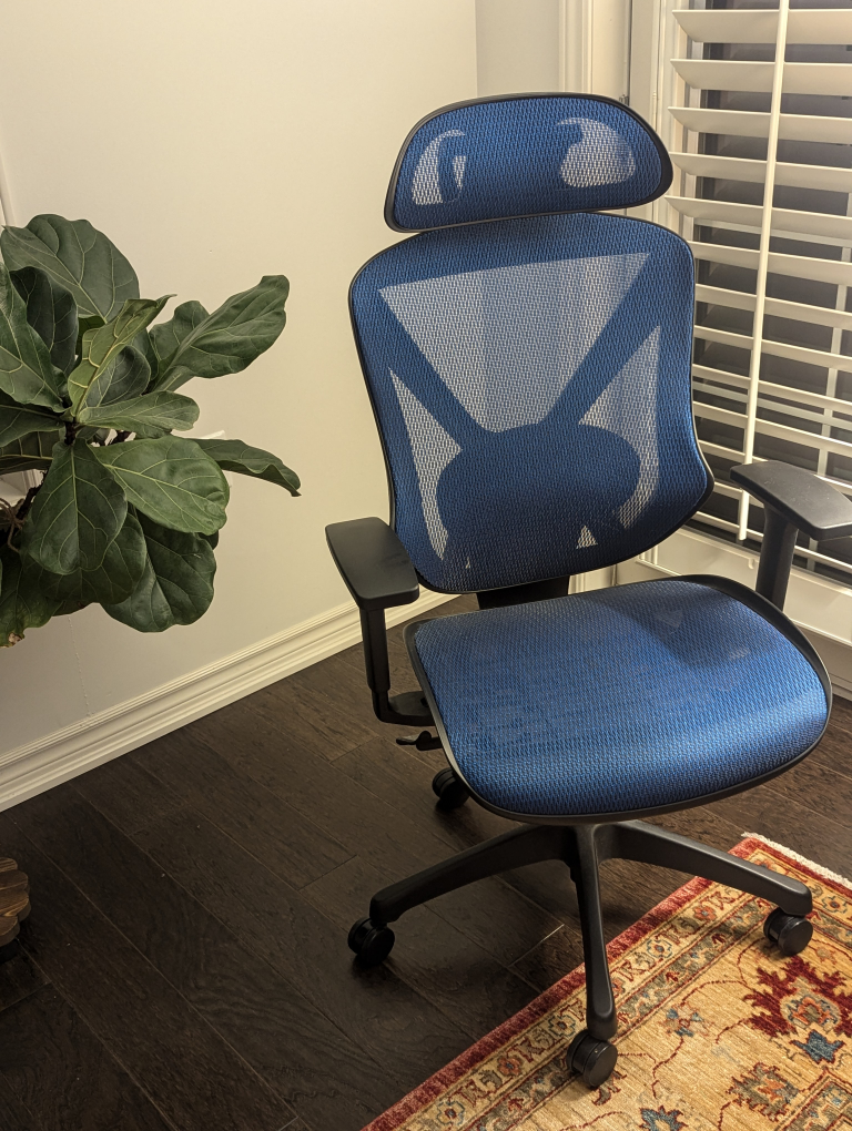 Blue Ergonomic Office Chair with Headrest - photo 5