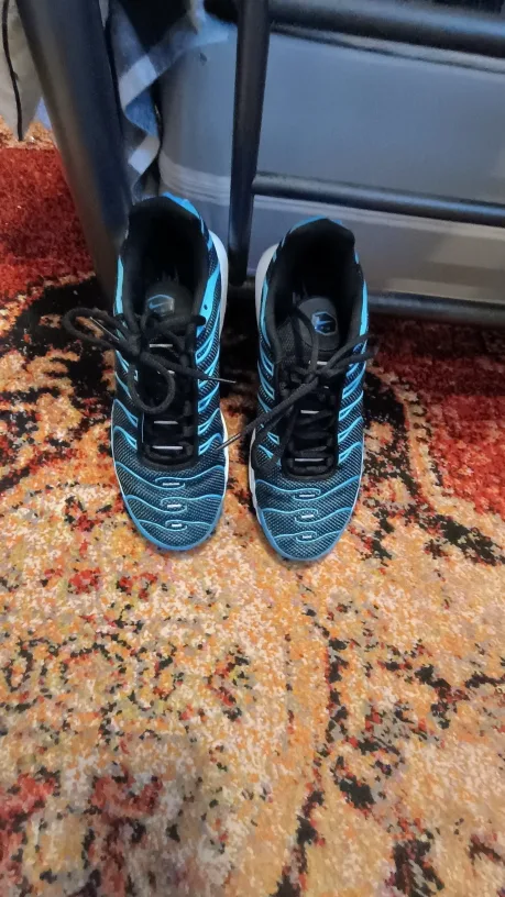 Nike Air Max Plus Size 8.5 image indicator(2)