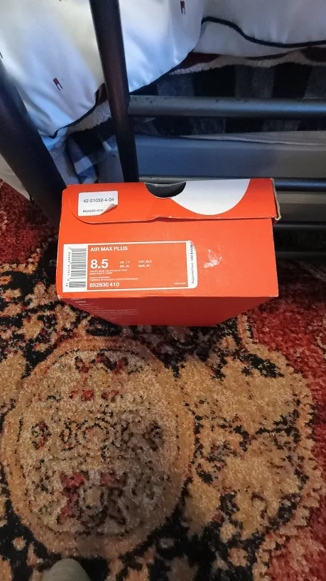 Nike Air Max Plus Size 8.5 image indicator(5)