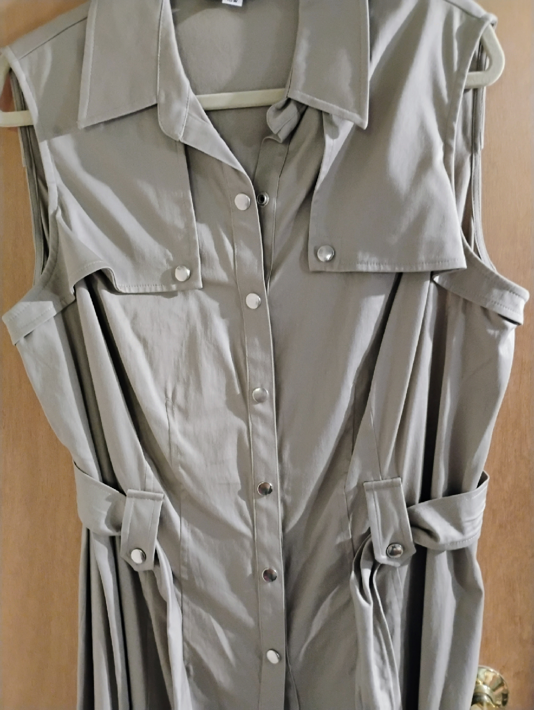Laura Plus size 18+ dress new