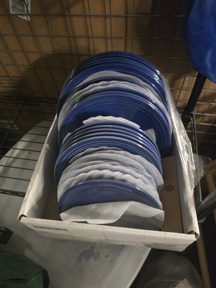 Dinner Plates - Cobalt Blue