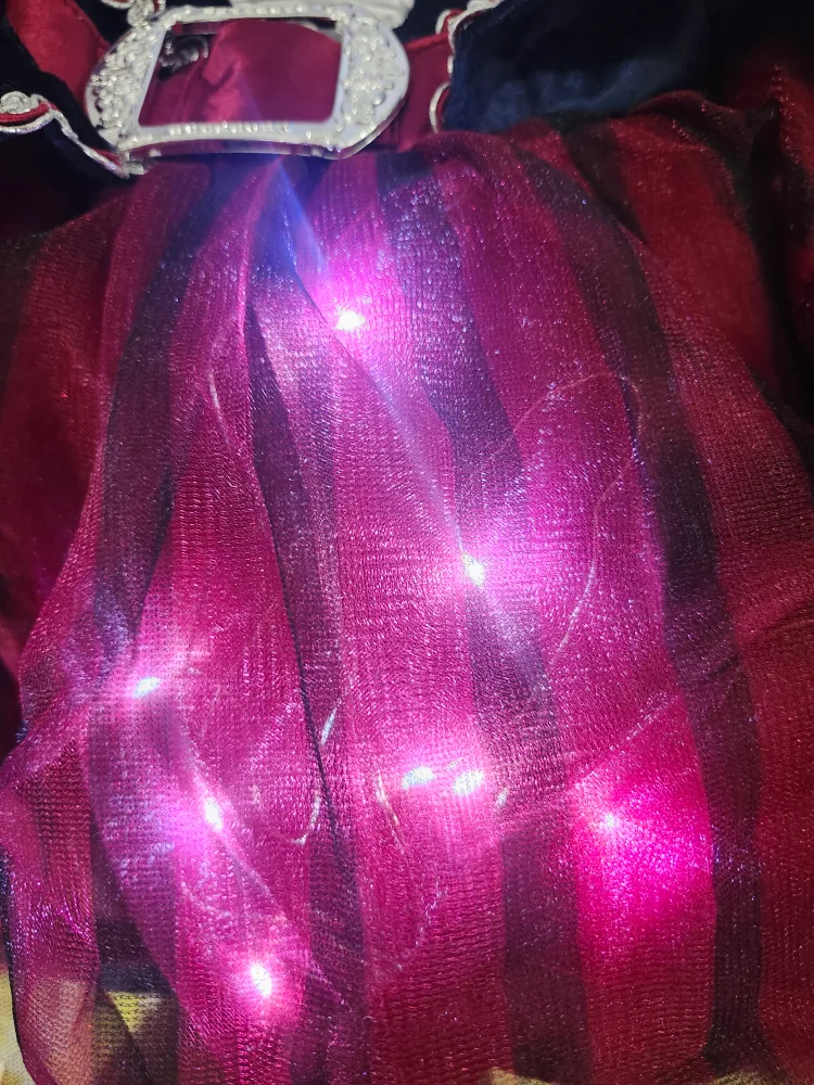 Pirate Costume - Blue, Red, Black 🥕 image indicator(3)