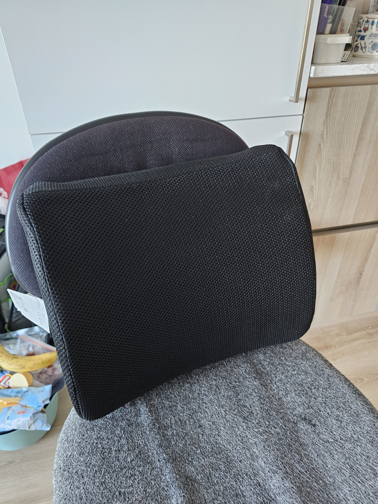 Black Mesh Lumbar Support Cushion