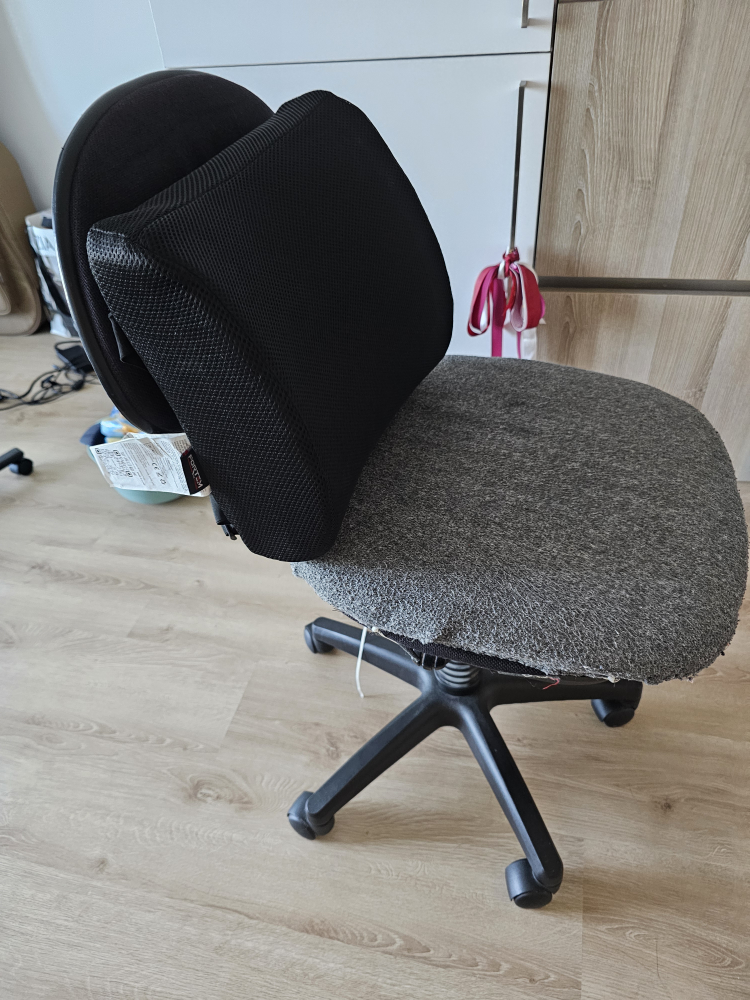 Black Mesh Lumbar Support Cushion - photo 3