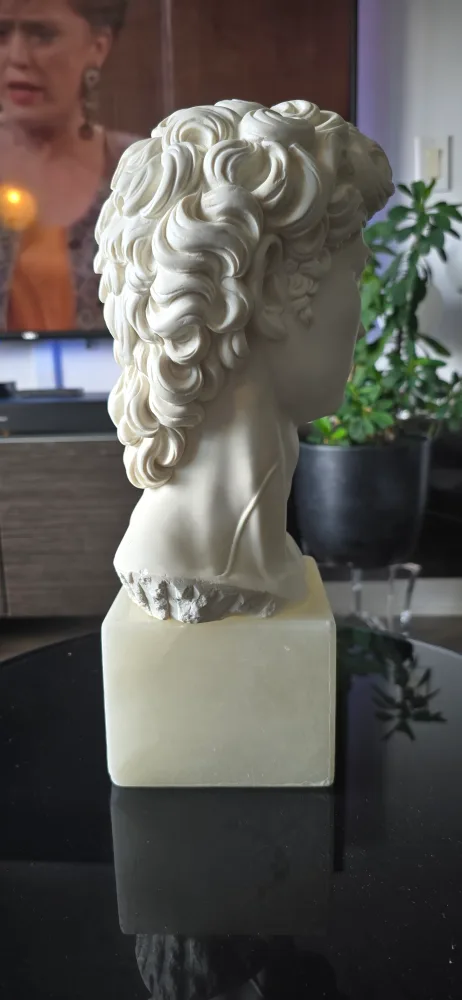 A. Giannelli David Bust Statue image indicator(2)