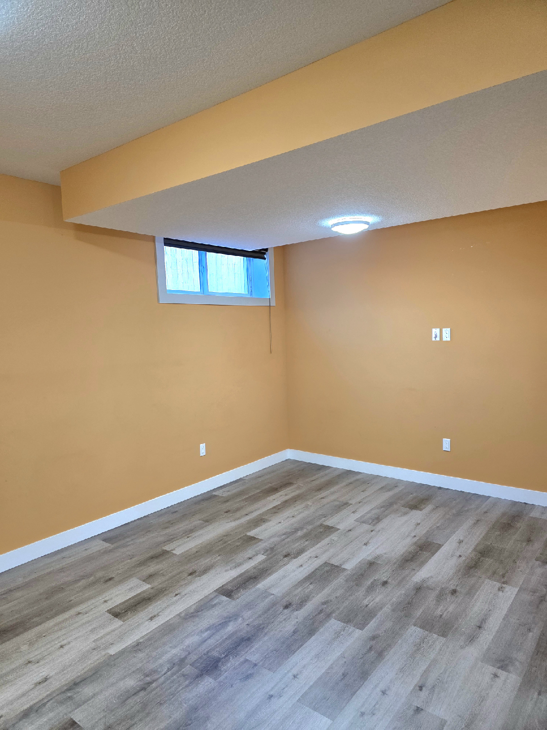 Basement for Rent - photo 4