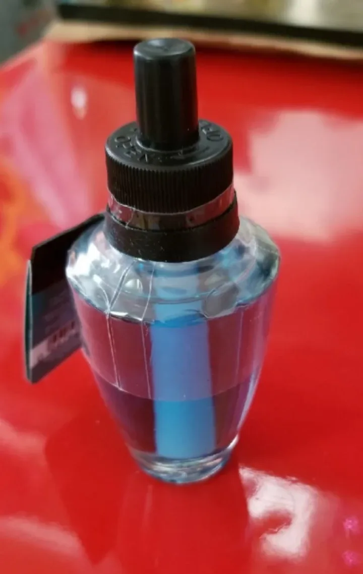 🥕Disney Princess Jasmine Wallflowers Refill 🥕 image indicator(2)