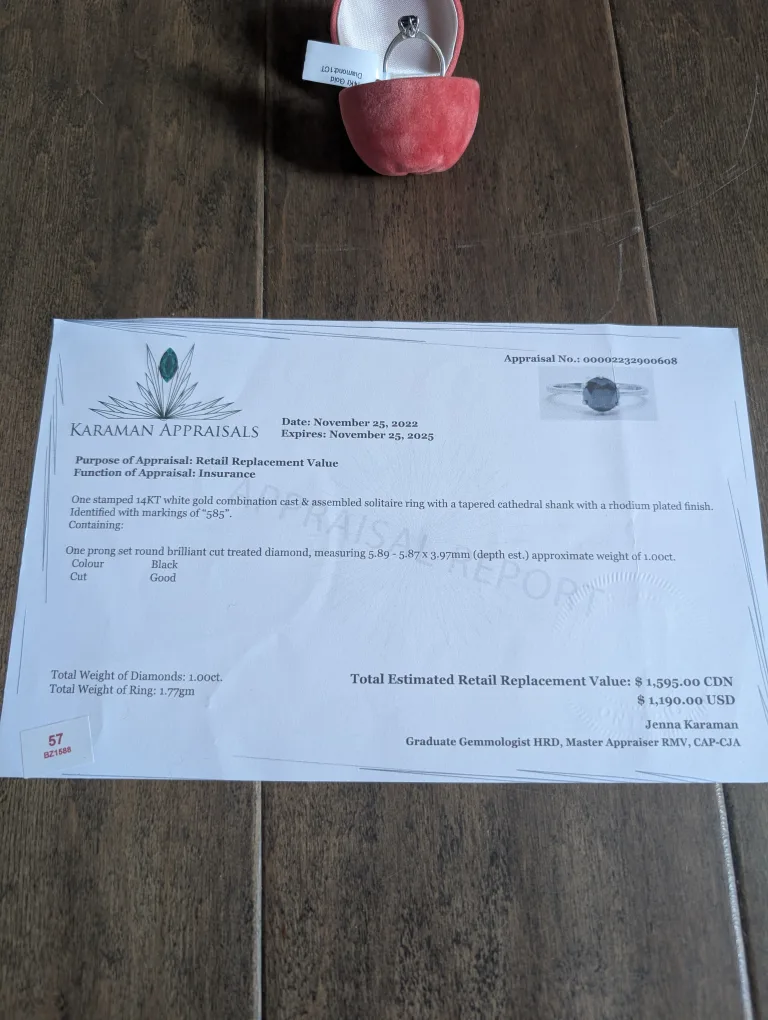 Brand New 14K White Gold Black Diamond Ring For Sale image indicator(6)