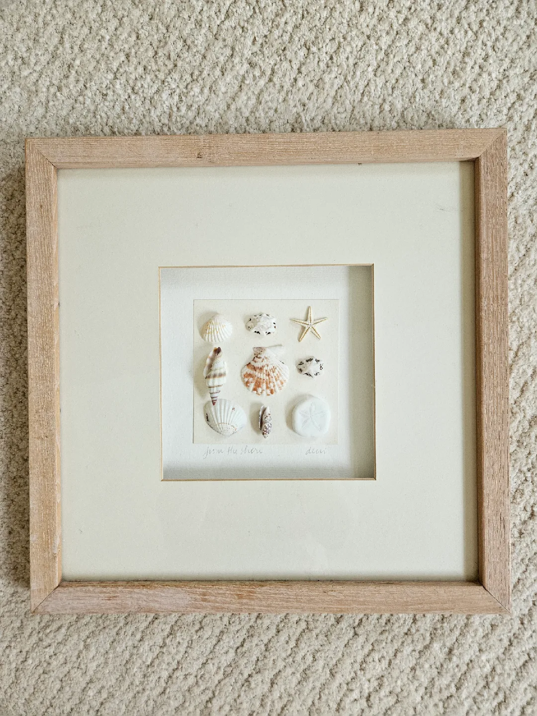Framed Seashell Art - Beach Decor Nautical thumbnail