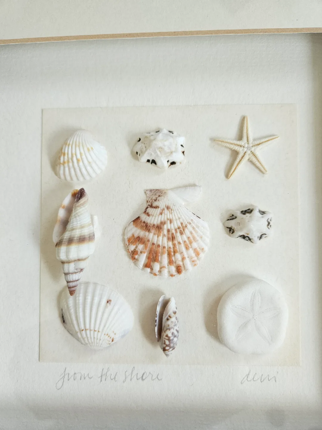 Framed Seashell Art - Beach Decor Nautical image indicator(2)