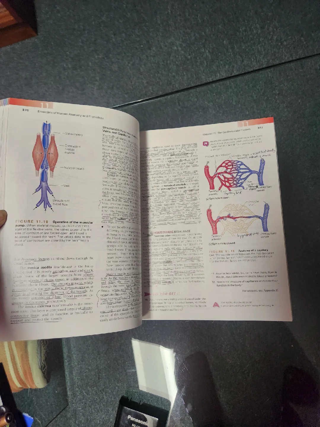 Essentials of Human Anatomy & Physiology, 9th Ed. image indicator(3)