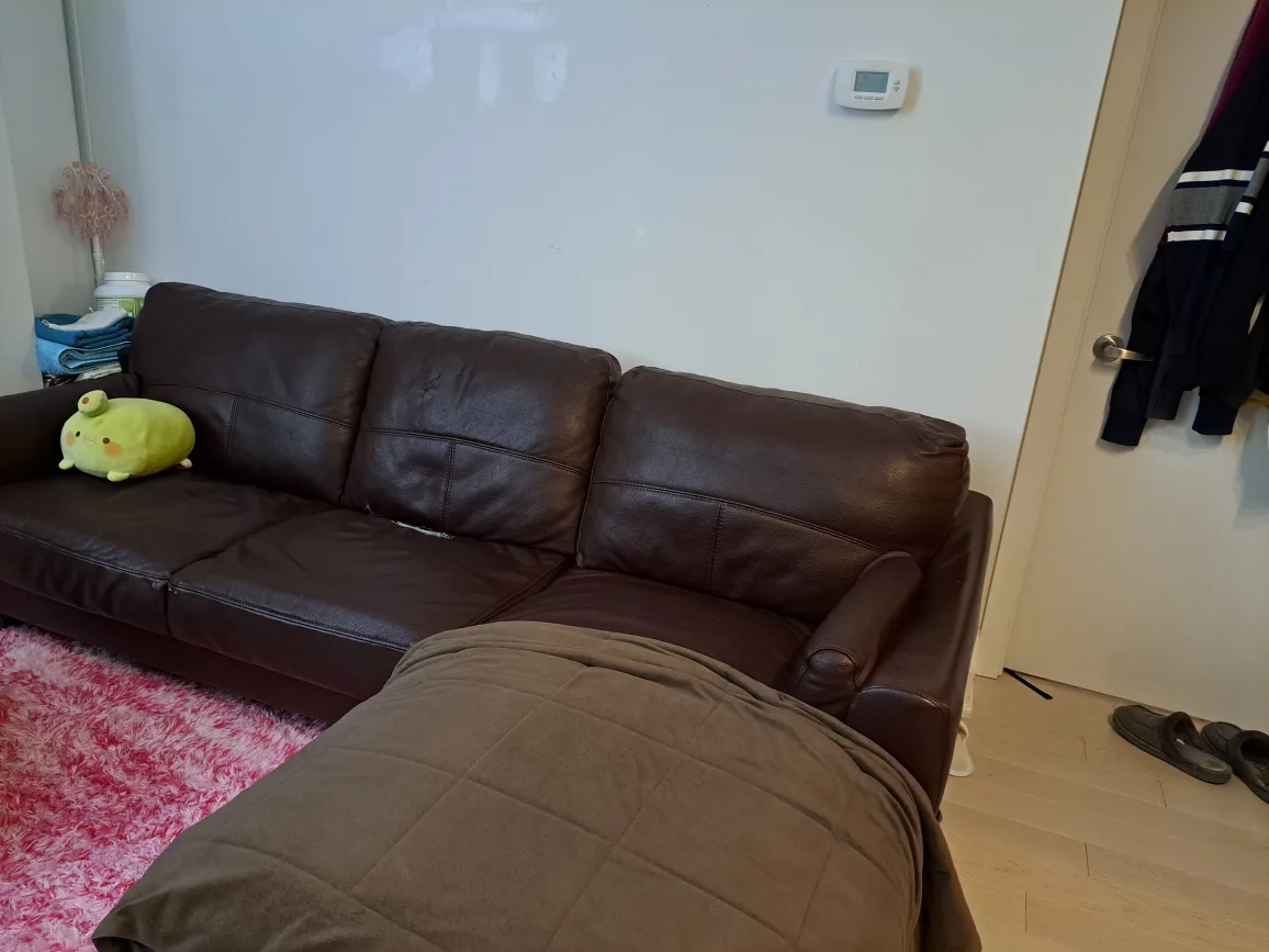 Leather sectional couch thumbnail