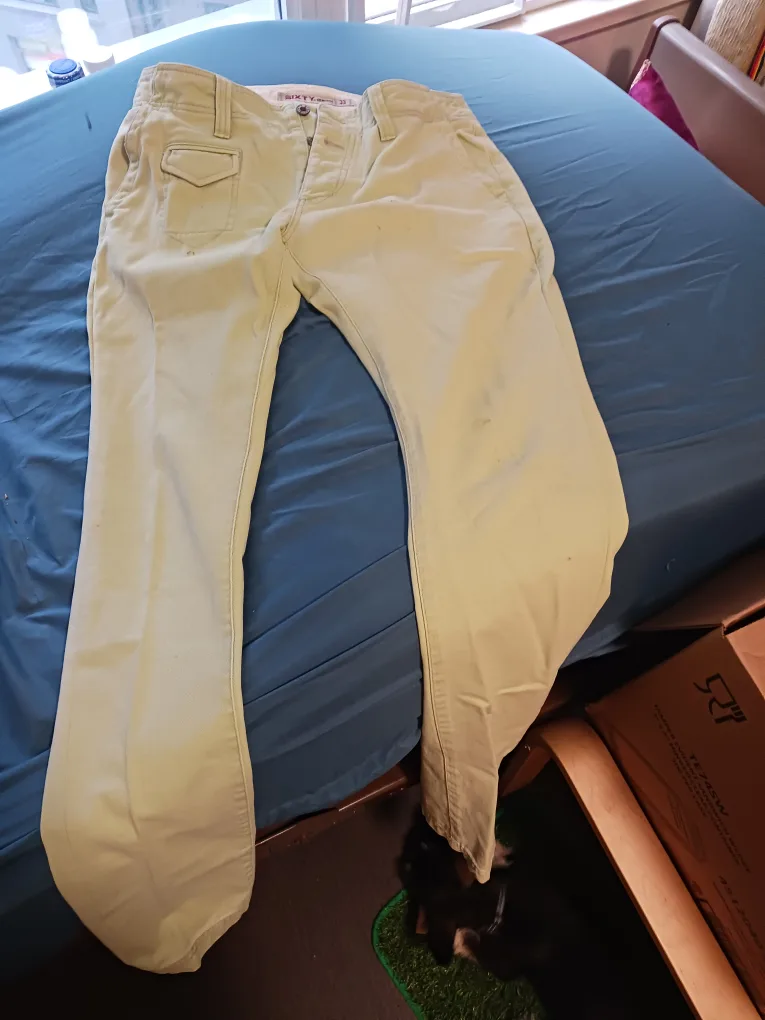 Sixty Light Green Pants image indicator(2)