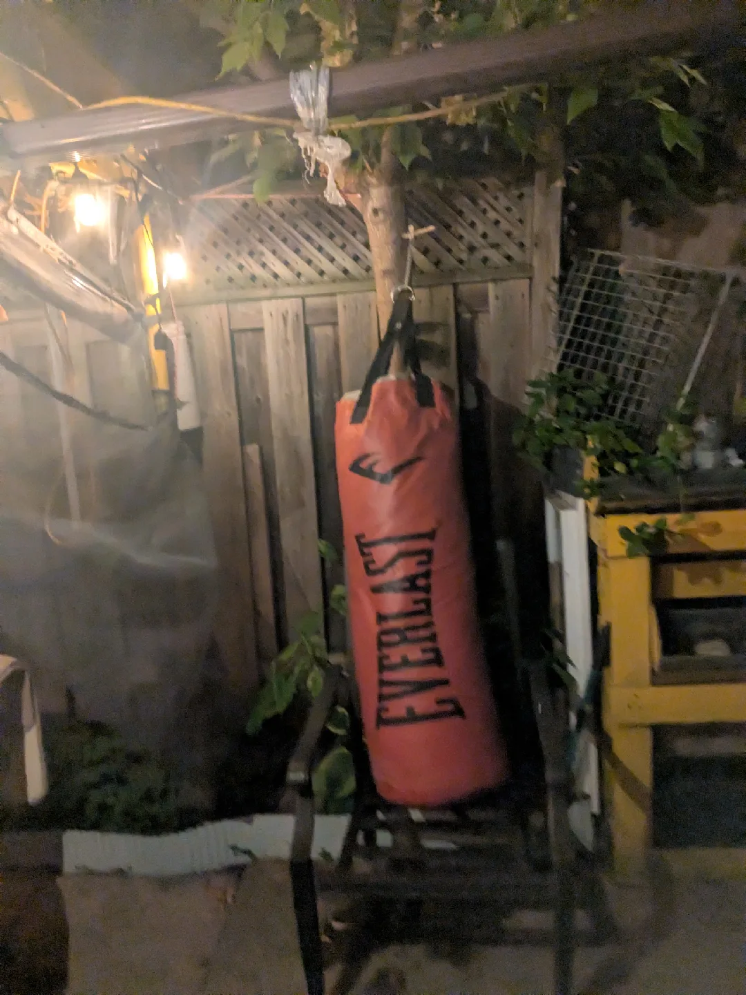 Everlast Red Heavy Punching Bag image indicator(2)