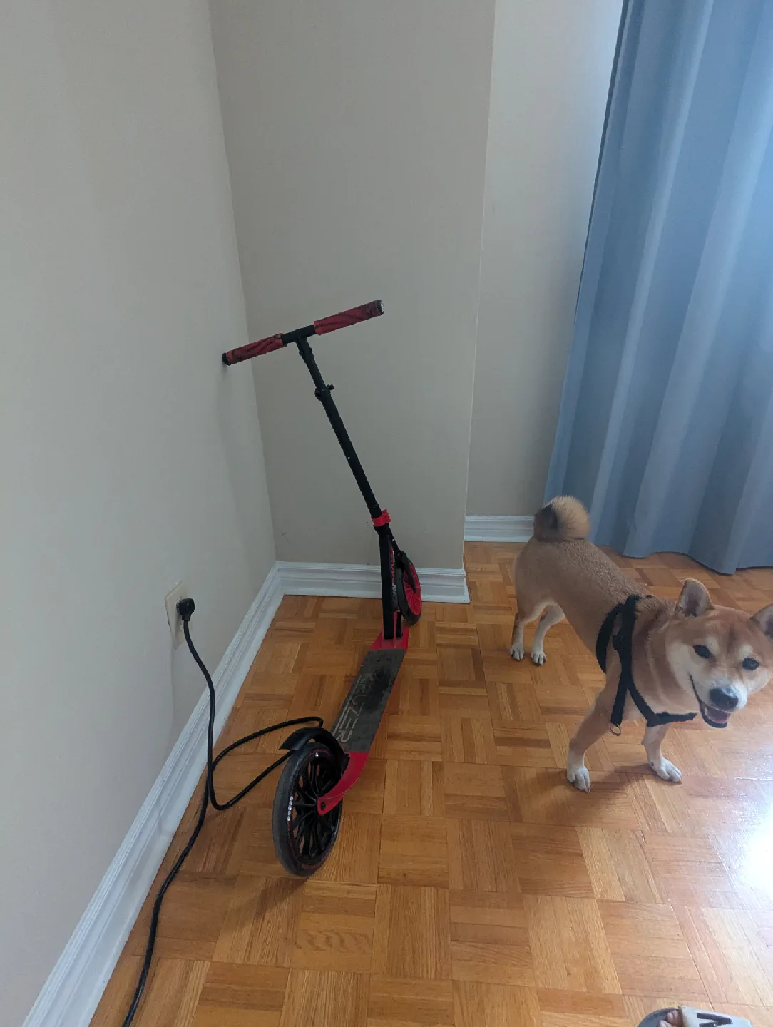 MADD Gear Kruzer Scooter - Black/Red image indicator(2)