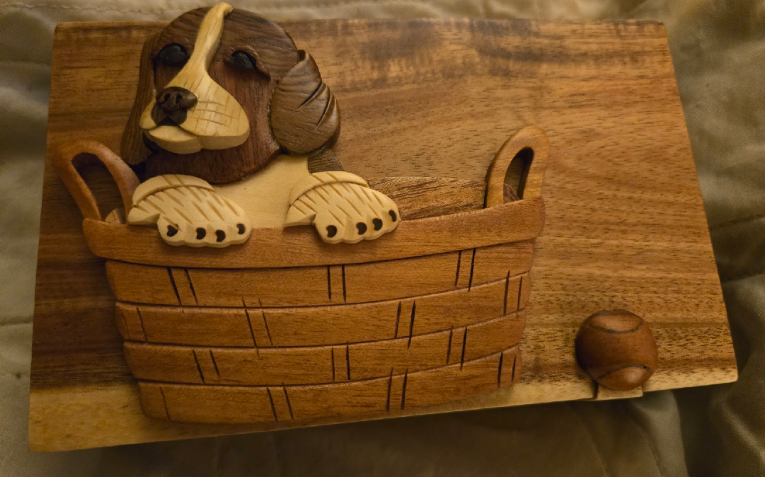 🥕Carver Dan's Puzzle Box - Dog in Basket