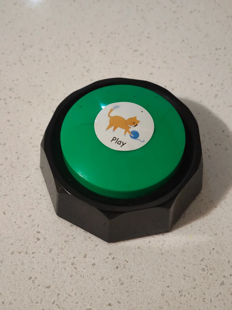 Recordable Answer Buzzers - Play Sound Button thumbnail