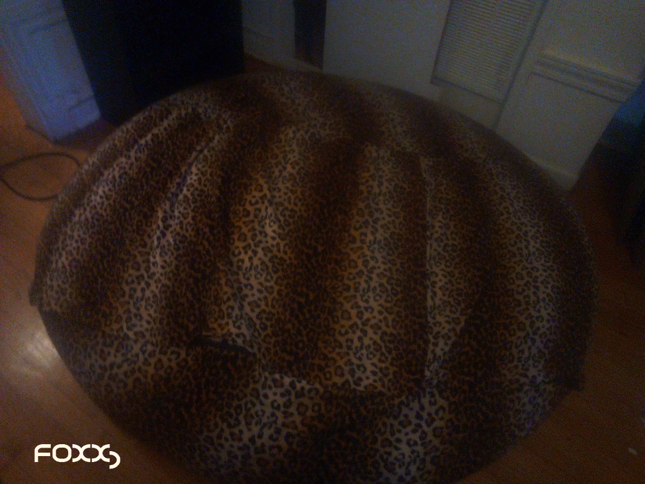 Foxx Leopard Print Beanbag