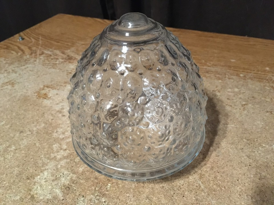 Vintage acorn bubble Glass Light Fixture Cover 5.5"