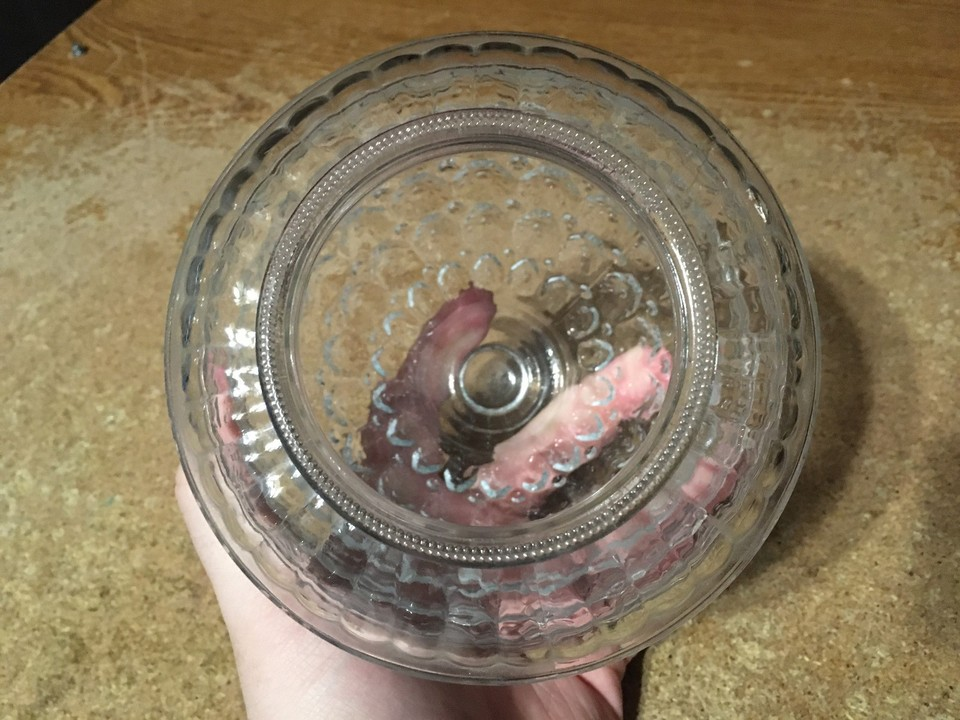 Vintage acorn bubble Glass Light Fixture Cover 5.5" - photo 3
