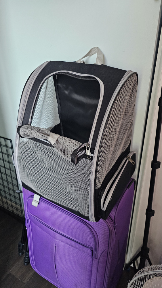 Pet Carrier Backpack