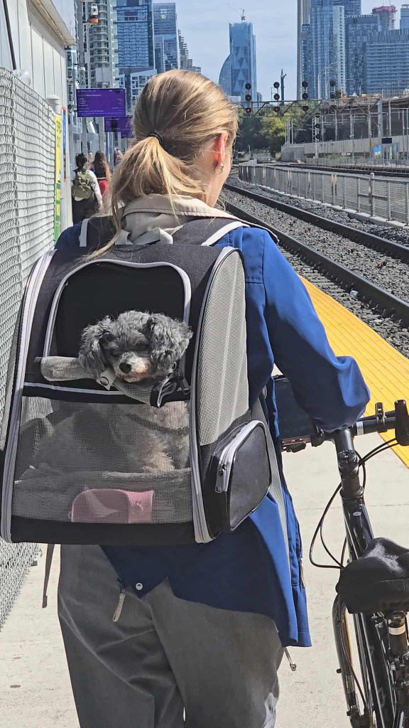 Pet Carrier Backpack - photo 3