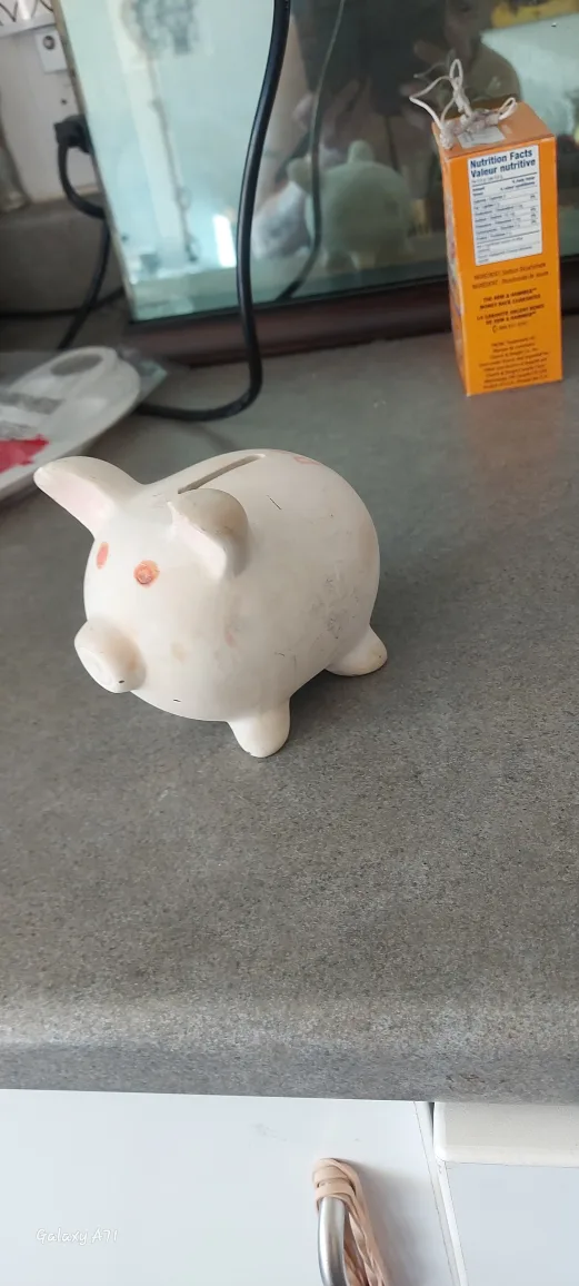 ***PIGGY BANK*** image indicator(2)