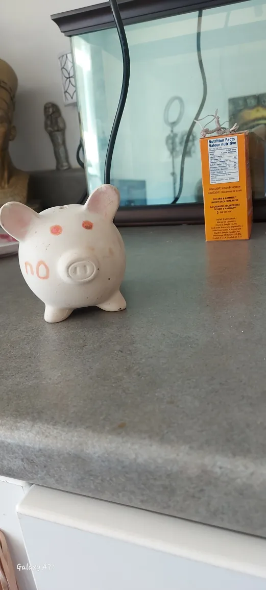 ***PIGGY BANK*** image indicator(3)